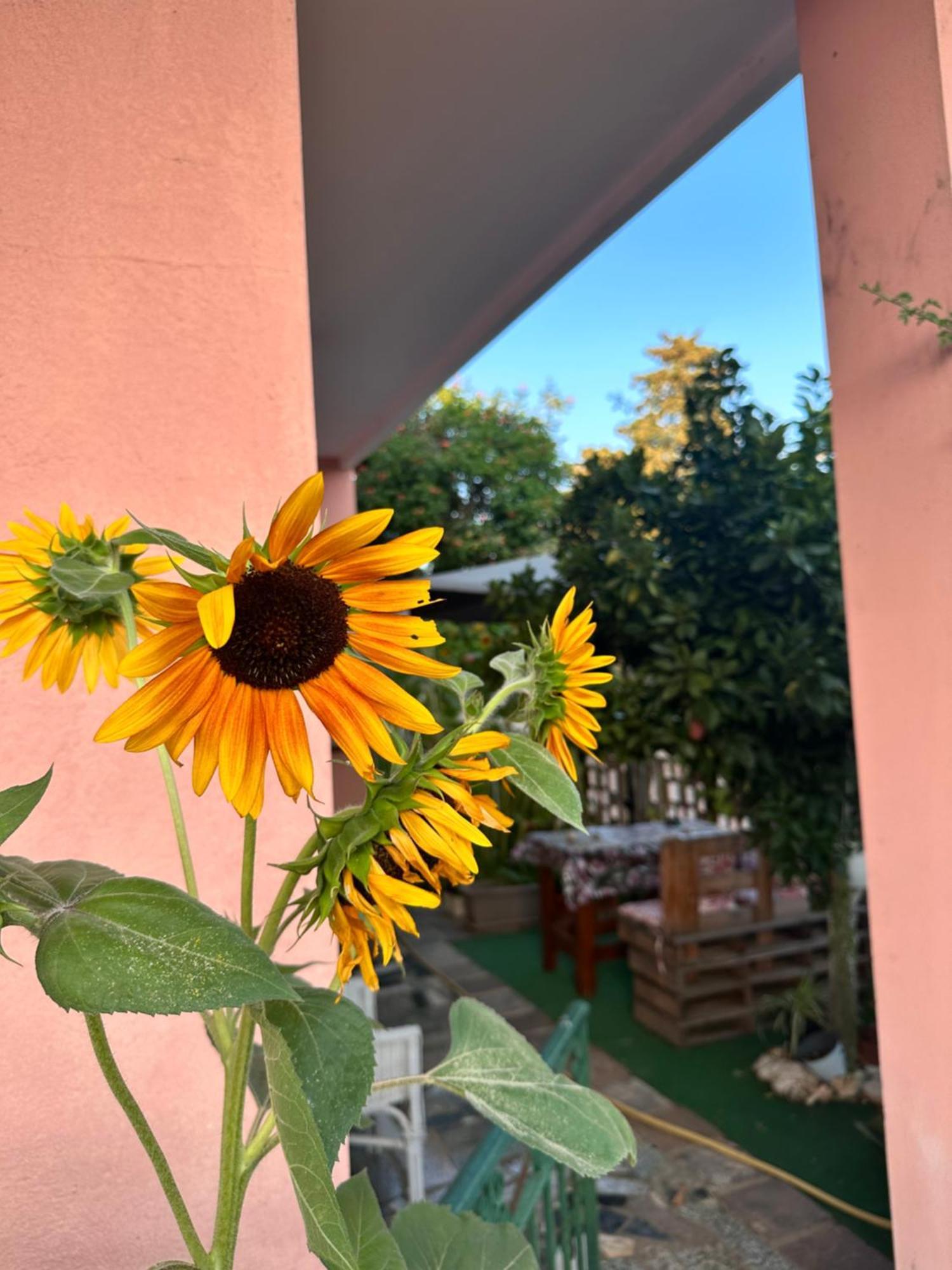 casa vacanze vicino al mare Giba Esterno foto