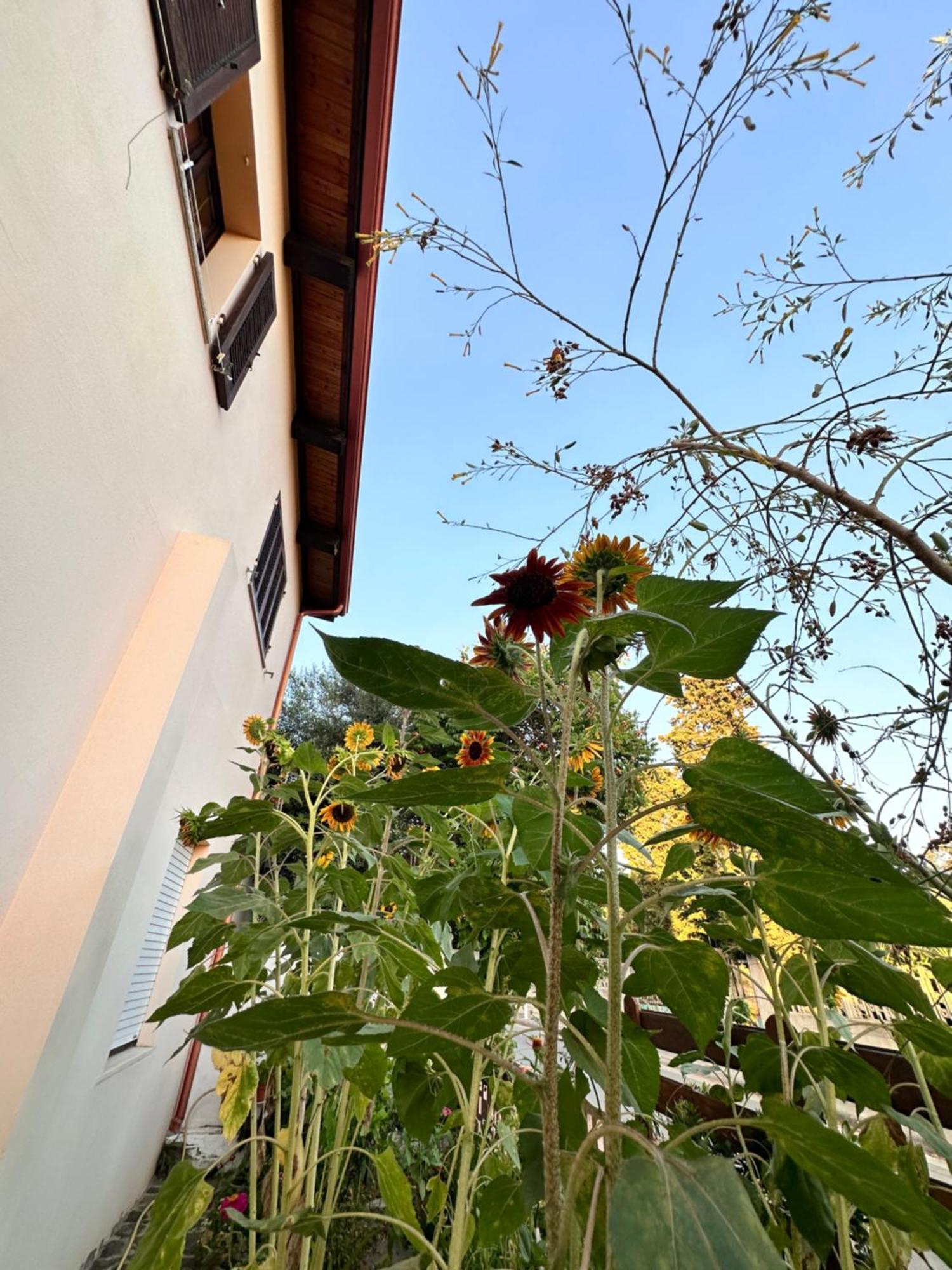 casa vacanze vicino al mare Giba Esterno foto